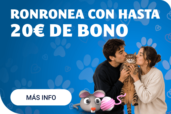 https://www.yobingo.es/promociones/niveles-con-gatos